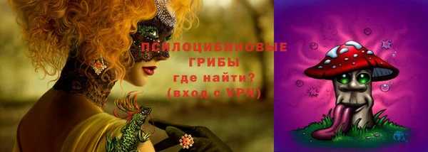 метадон Алексин