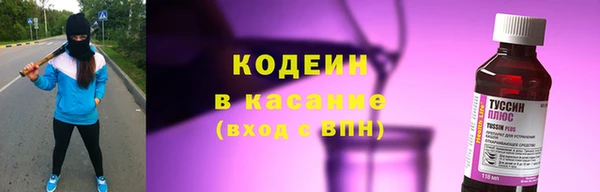 гашик Алексеевка