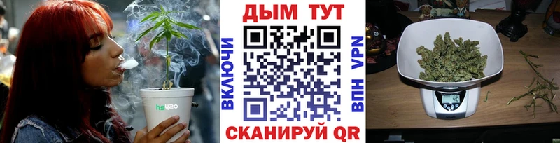 Канабис Amnesia Прохладный
